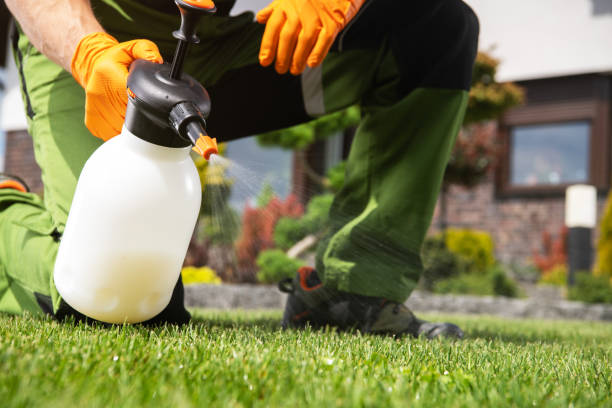 Pest Control for Restaurants in Zwolle, LA