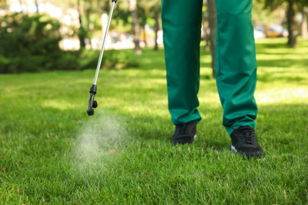 Best Insect Control  in Zwolle, LA