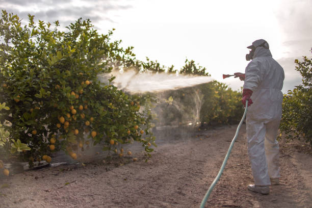 Best Residential Pest Control  in Zwolle, LA