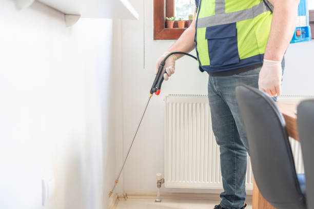 Best Cockroach Control Services  in Zwolle, LA
