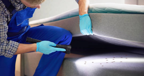 Best Pest Removal Services  in Zwolle, LA