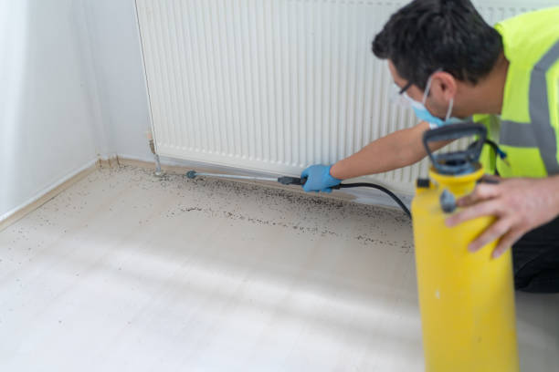 Best Pest Prevention Services  in Zwolle, LA
